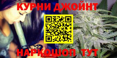 гидра Нарткала