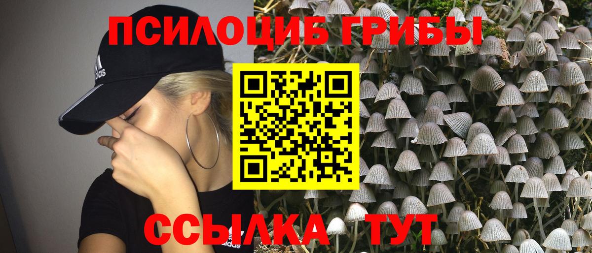 Псилоцибиновые грибы MAGIC MUSHROOMS  Вход с VPN  Верхняя Пышма 